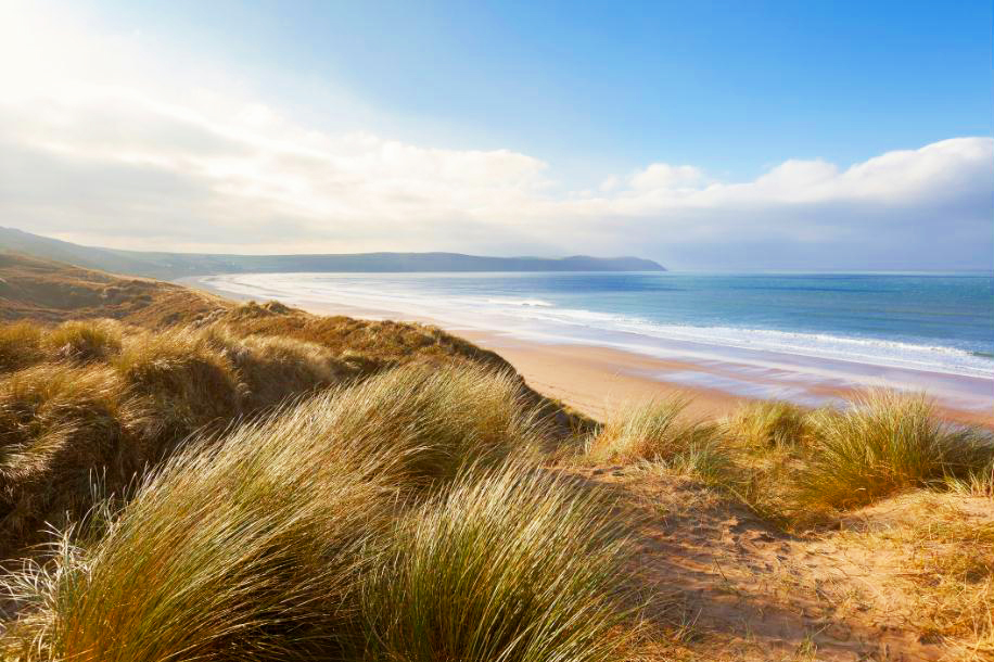 MF020 Wall décor art photographic on canvas seascape dunes and grass